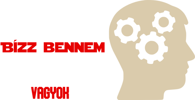Bízz bennem mérnök vagyok színezhető