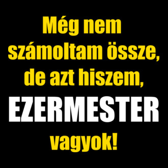 Ezermester vagyok
